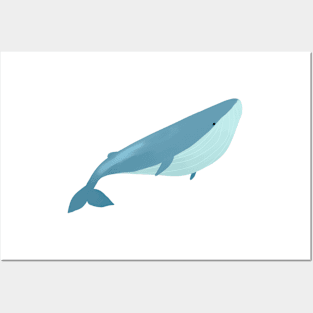 Whale drawing Posters and Art